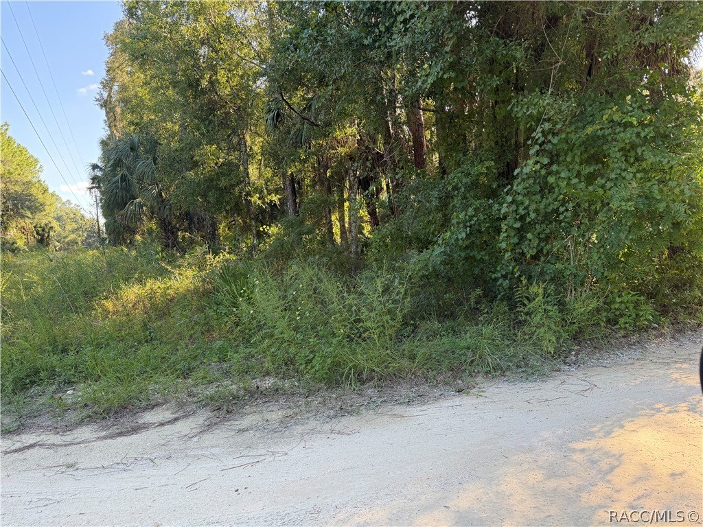 Picture 2