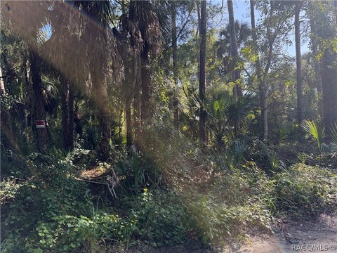 Land, Inglis, FL
