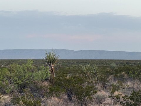 450 Acres in Terrell County