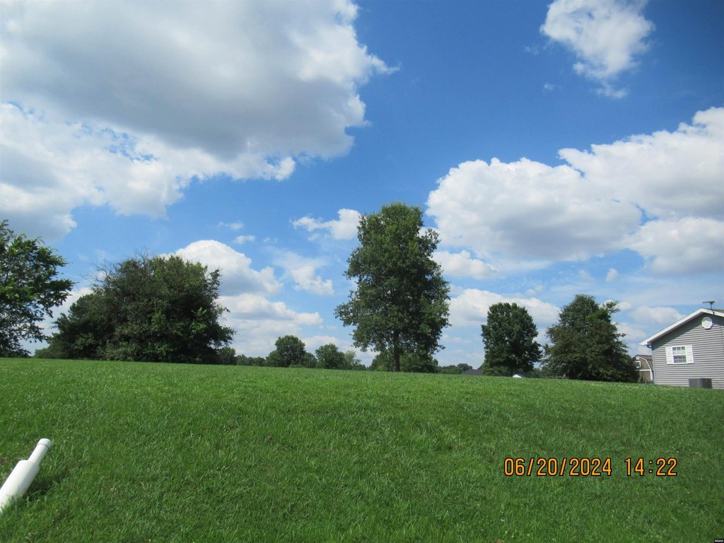 Picture 3