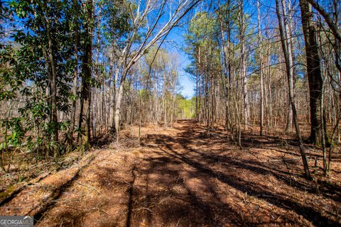 Wooded Land with Creek