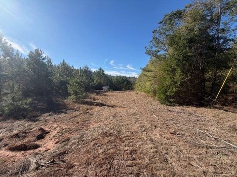 Land Tract with 1,400 Ft Road Frontage