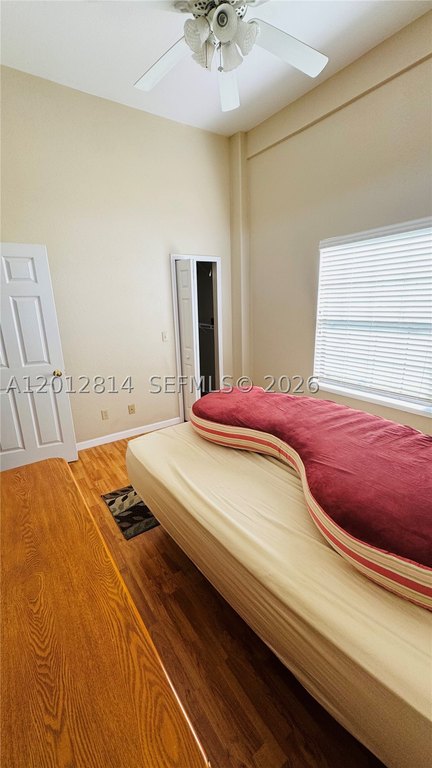 Picture 17