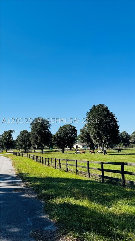 Picture 23