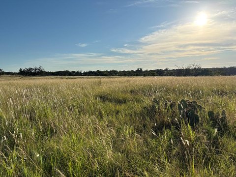 LAND - Harper, TX