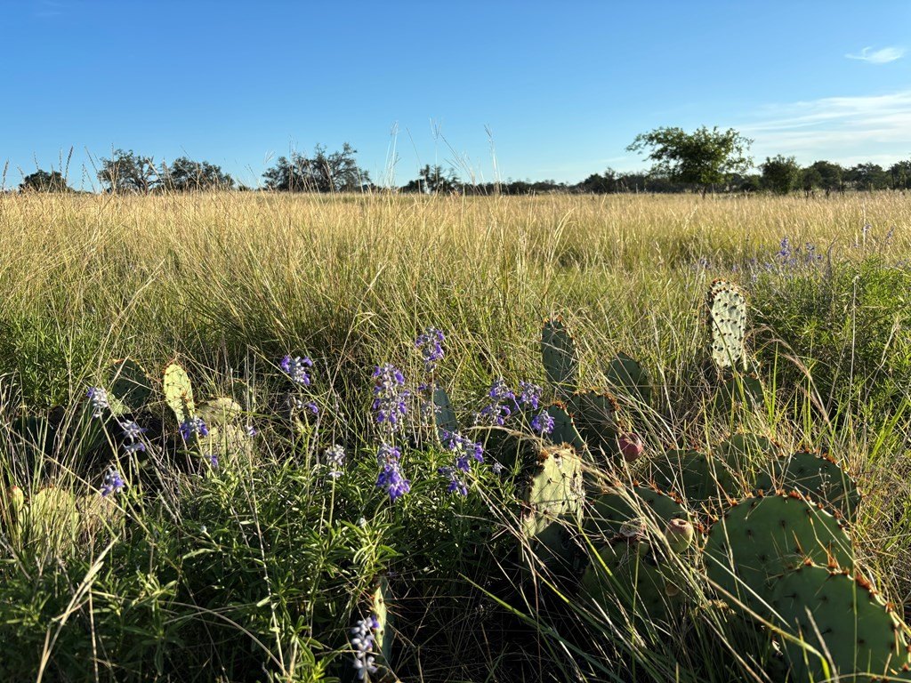 Picture 7