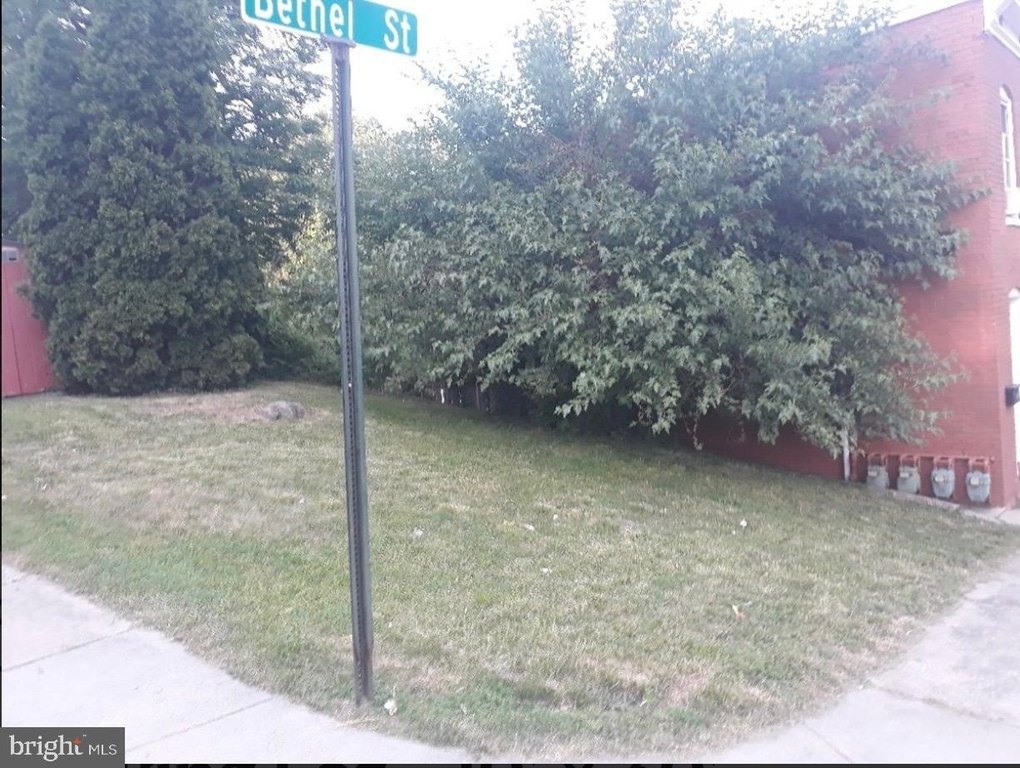 Picture 3