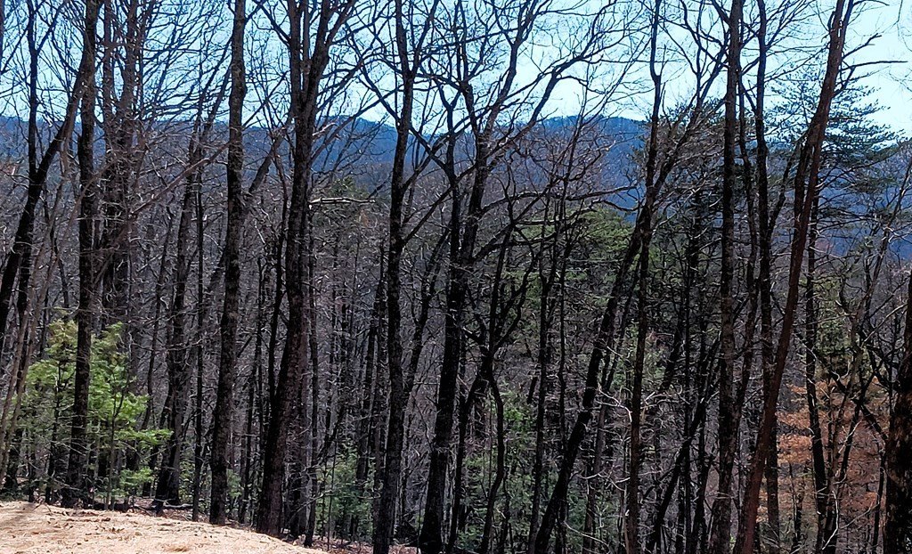 Picture 2