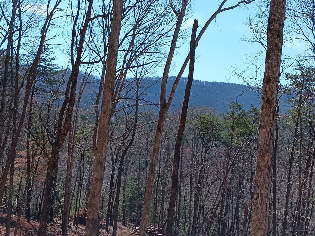 Picture 3