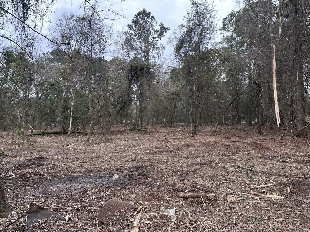 Picture 13