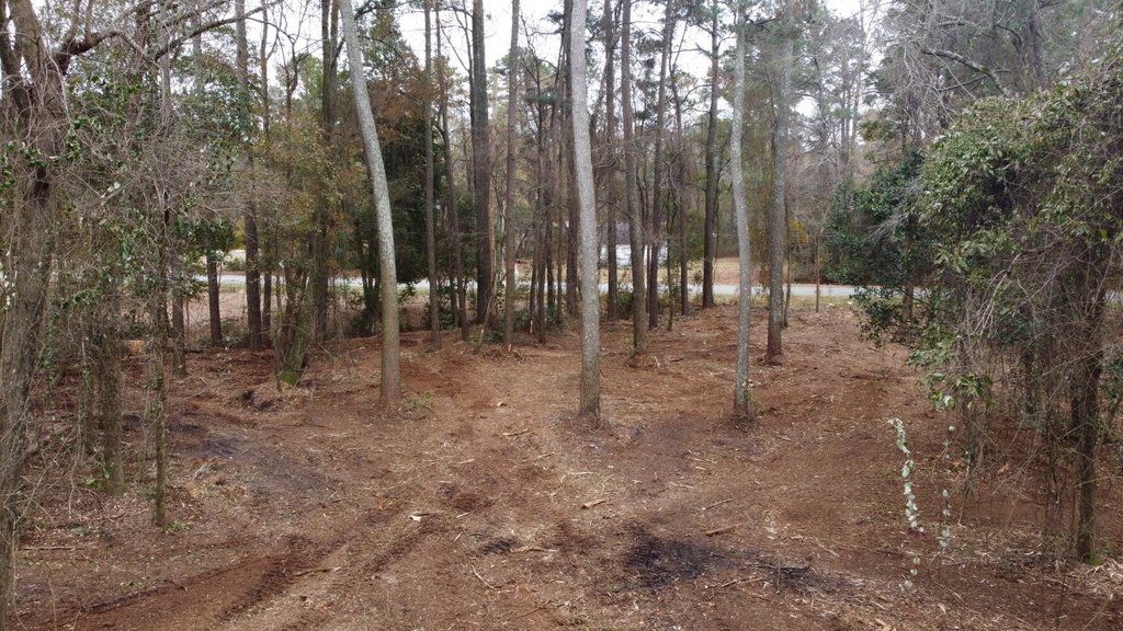 Picture 14