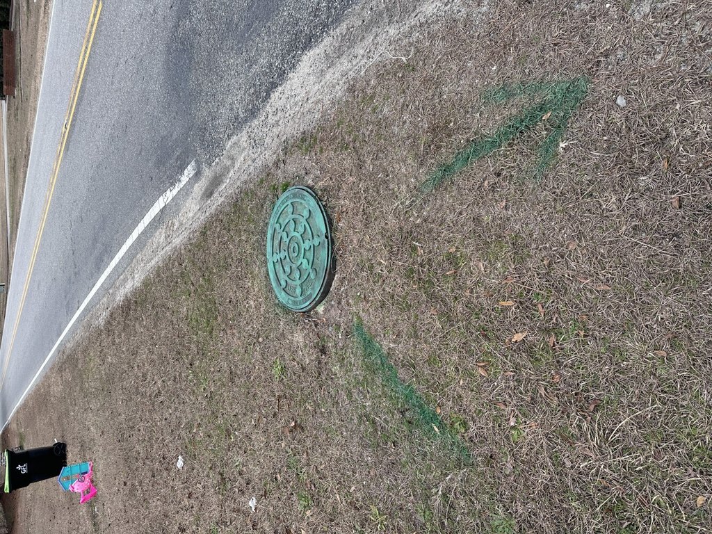 Picture 18