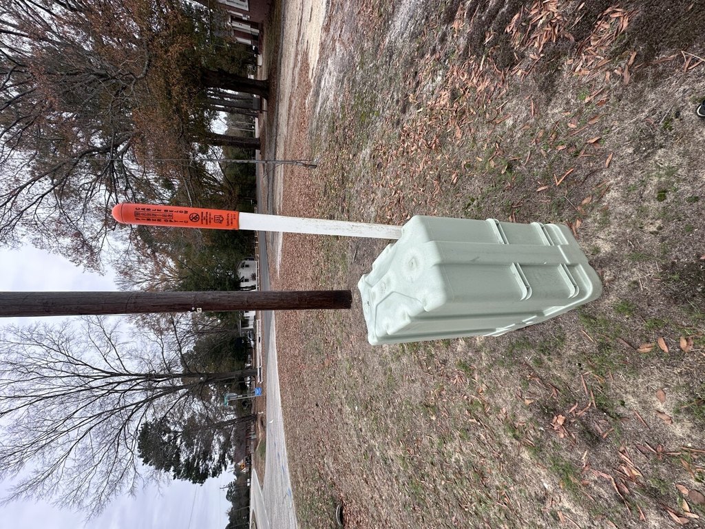 Picture 19
