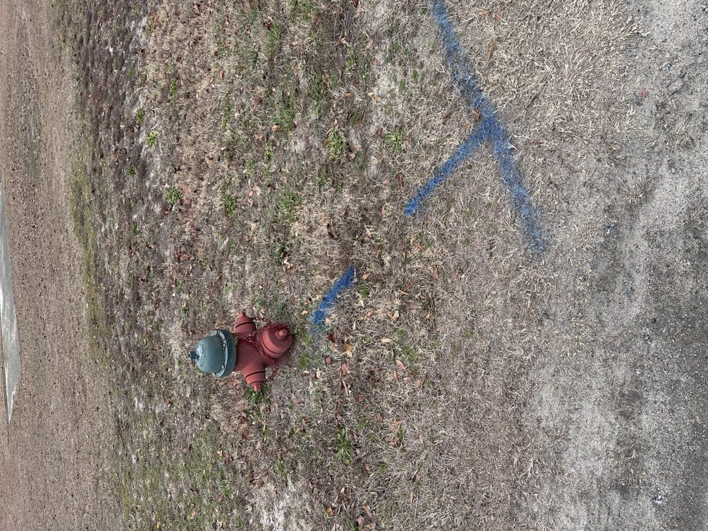 Picture 21