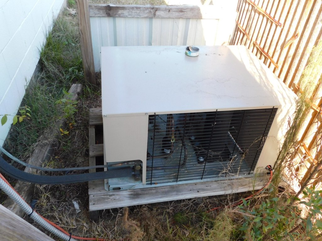 Picture 5