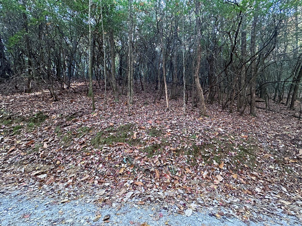 Picture 18