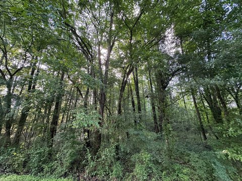 Highway-Fronting Vacant Land