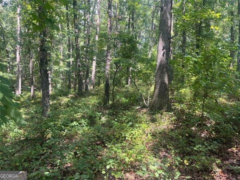 6-Acre Lot in Creekview District