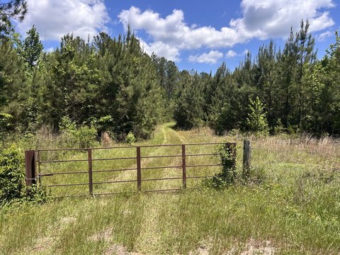 Timber and Hunting Tract