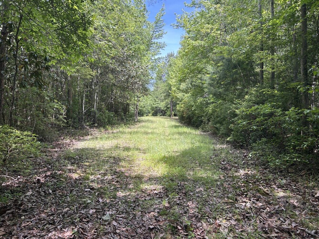 Picture 22