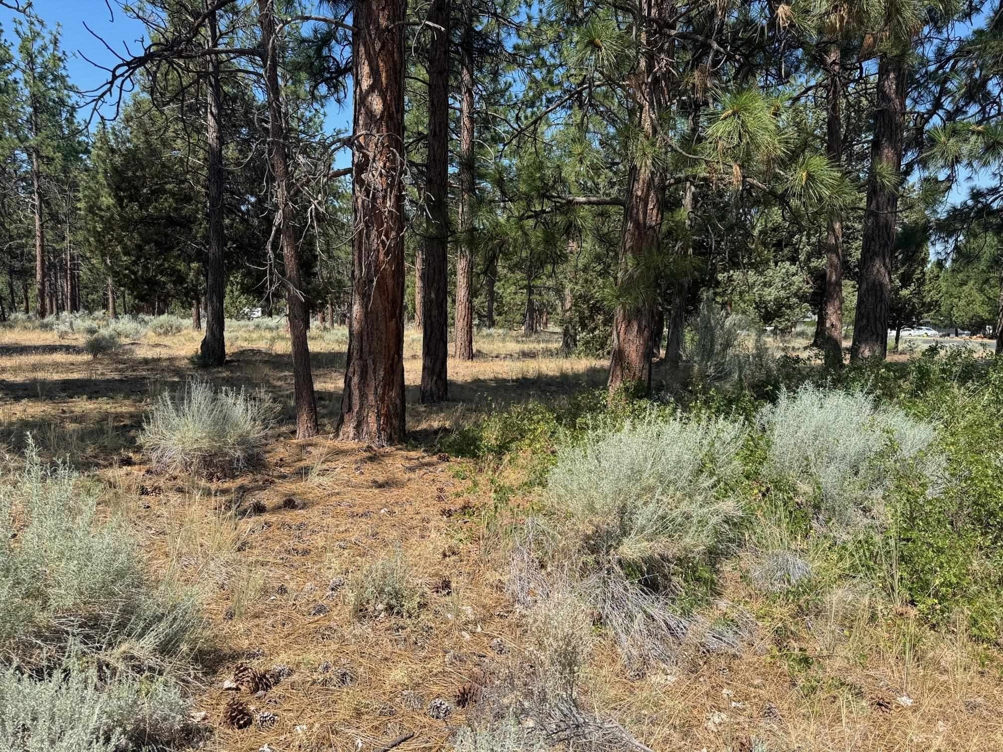 Golf Course Access Land