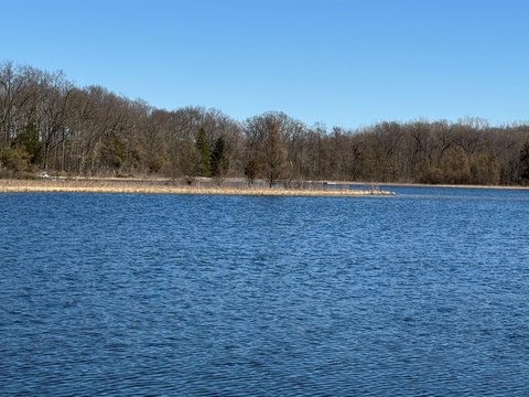 Private Forest Lot in Gregory