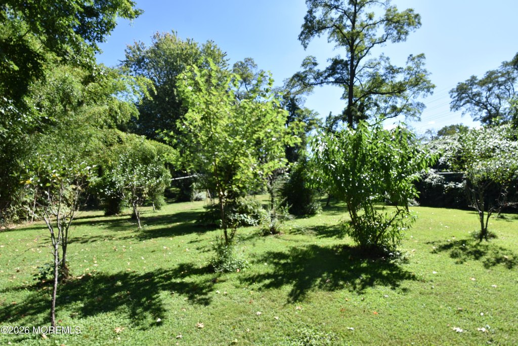 Picture 47