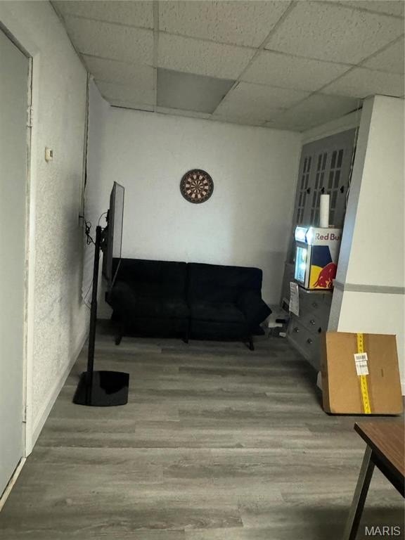Picture 6