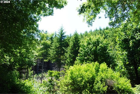Monmouth Timberland Investment Opportunity
