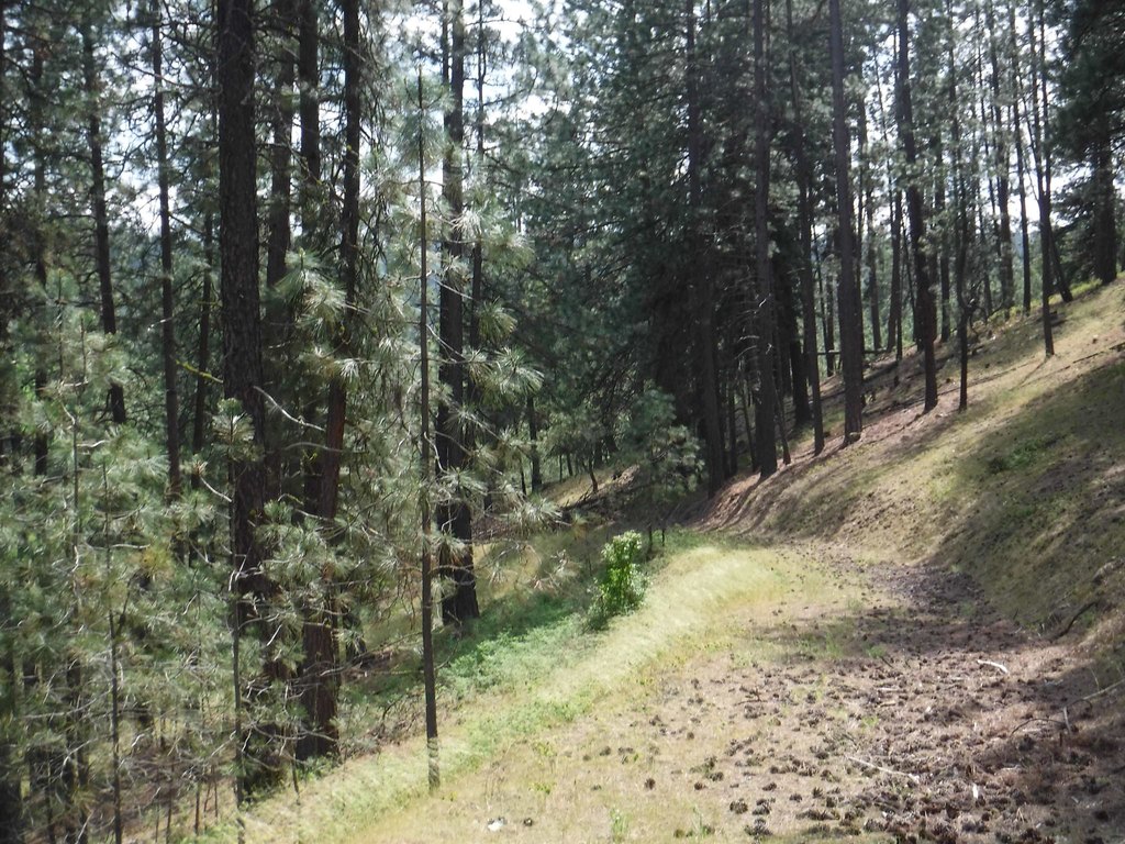 Picture 9