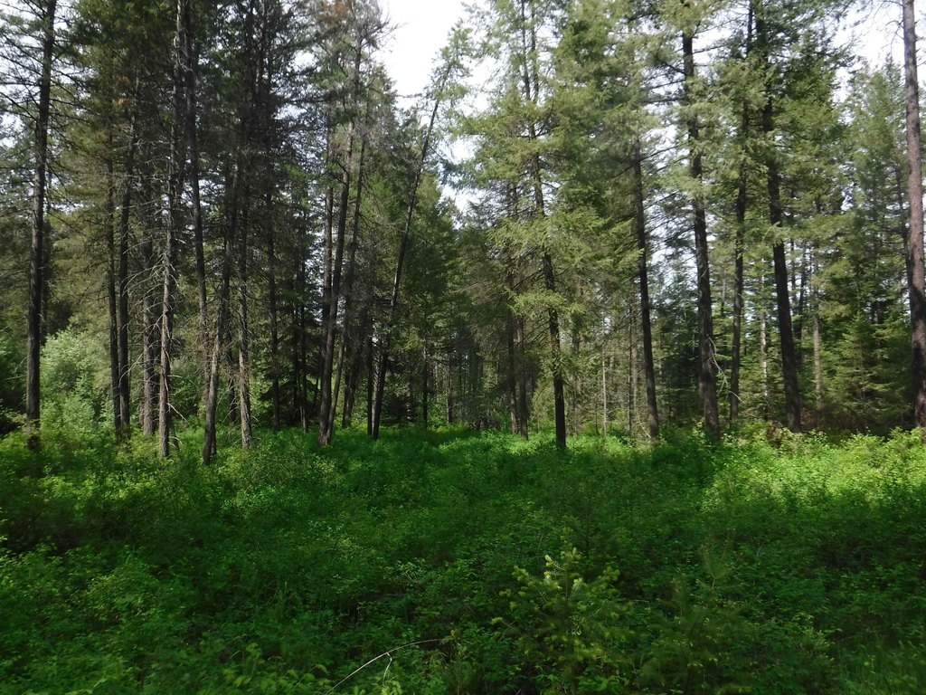 Picture 16
