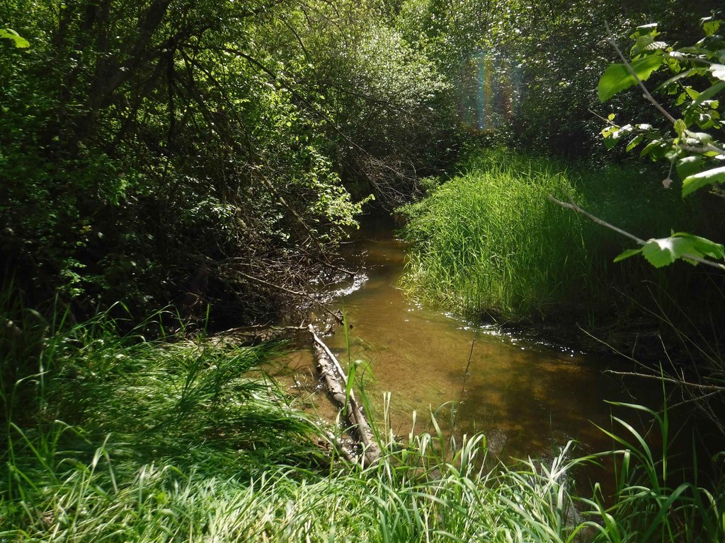 Picture 20