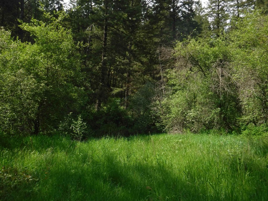 Picture 19