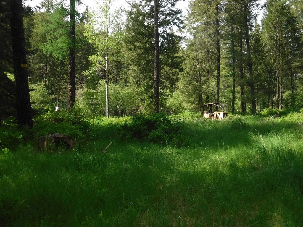 Picture 18