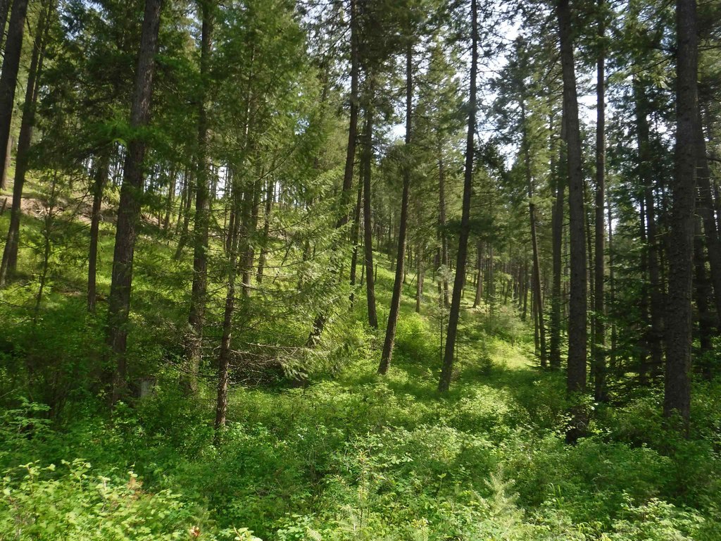 Picture 14