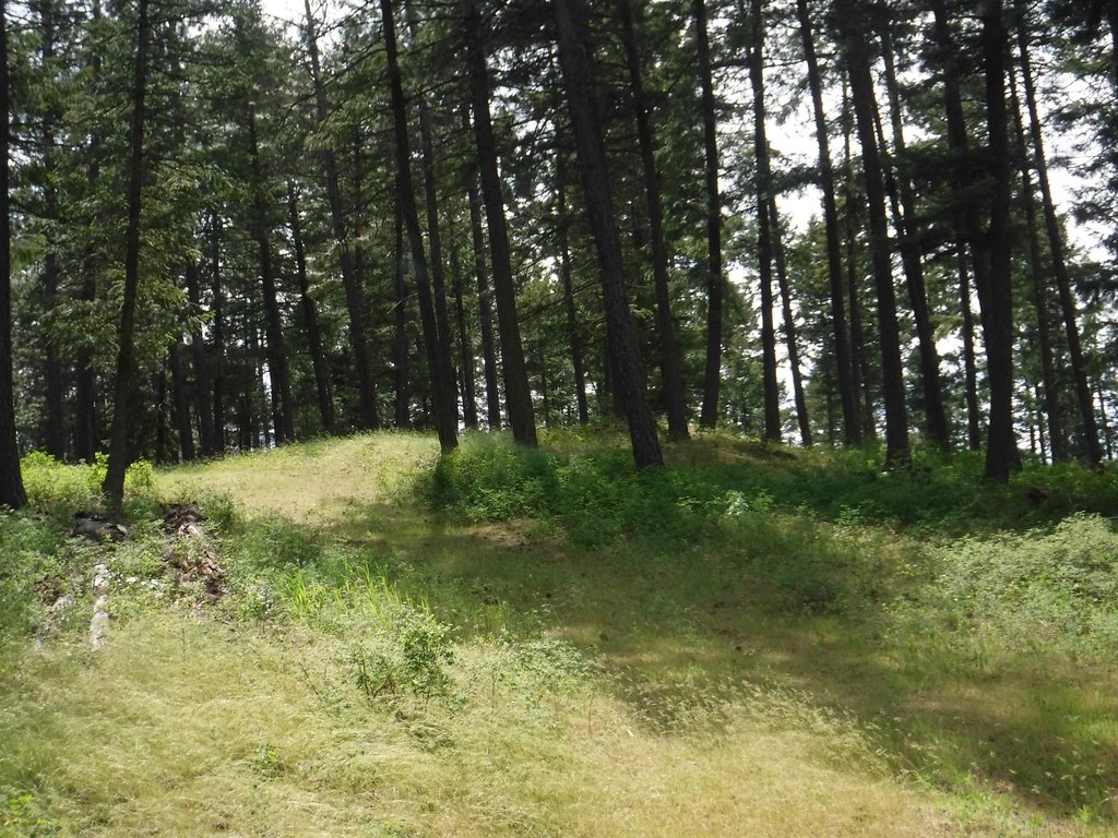 Picture 10