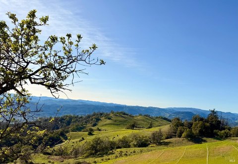 Alexander Valley Ranch Opportunity