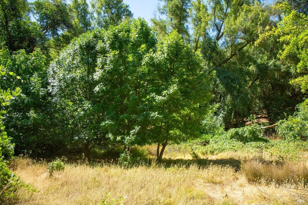 Picture 23