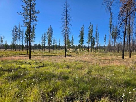 Land, Elk, WA