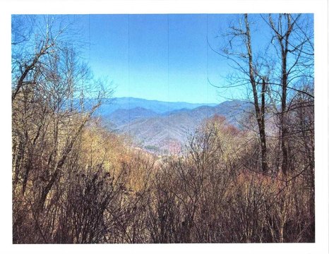 Cowee Mountain Land For Sale