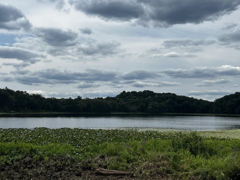 LAND - Bellevue, MI
