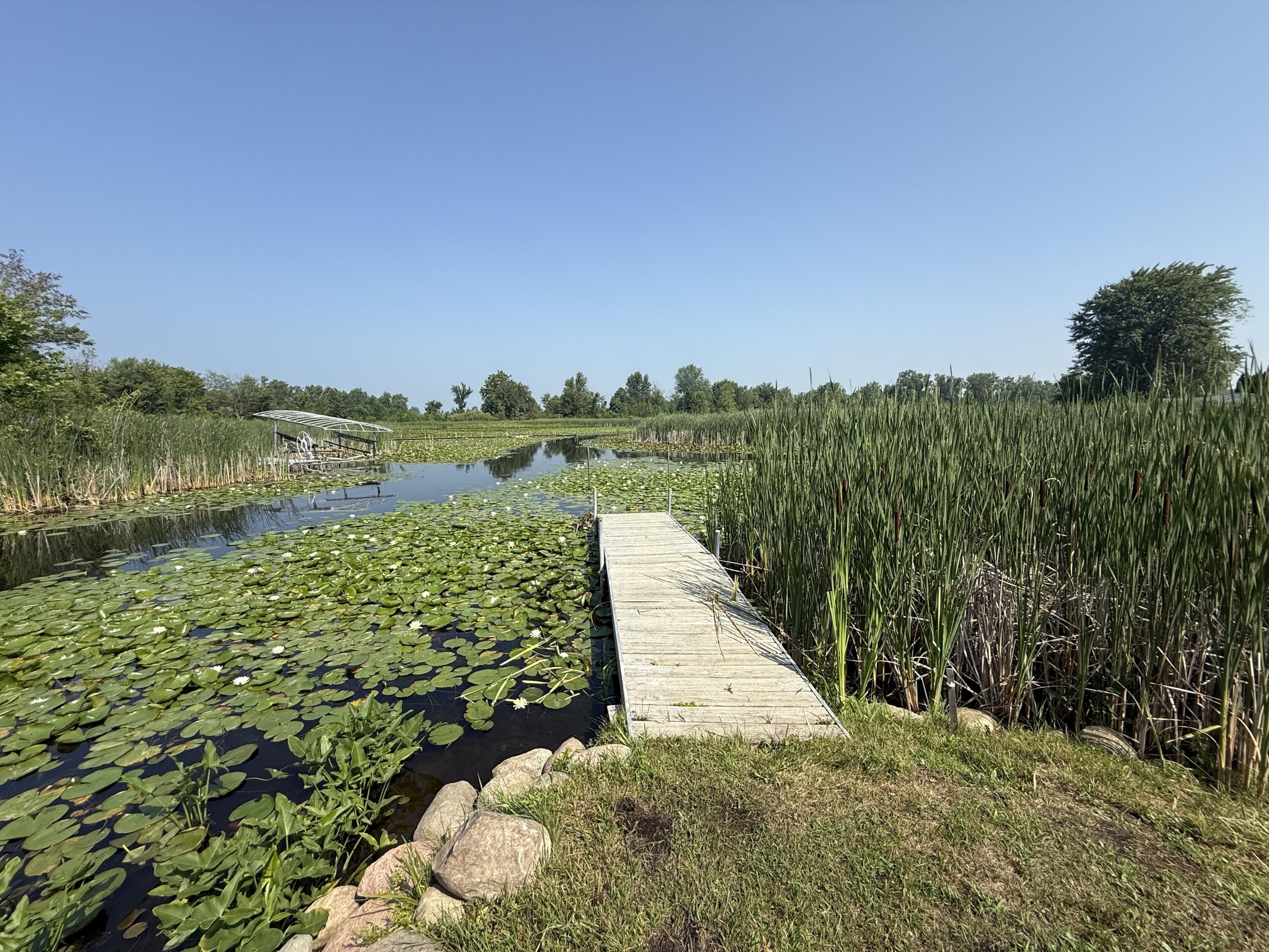 Waterfront Land on Coldwater Lake
