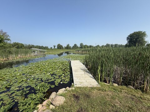 Waterfront Land on Coldwater Lake