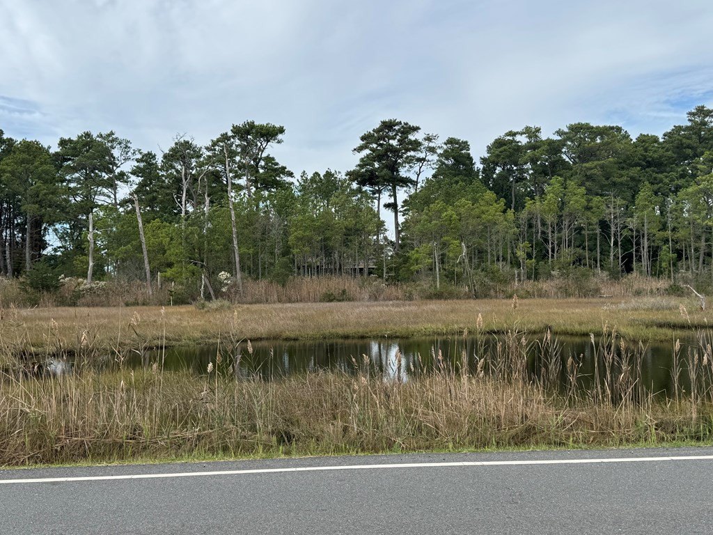 Picture 6