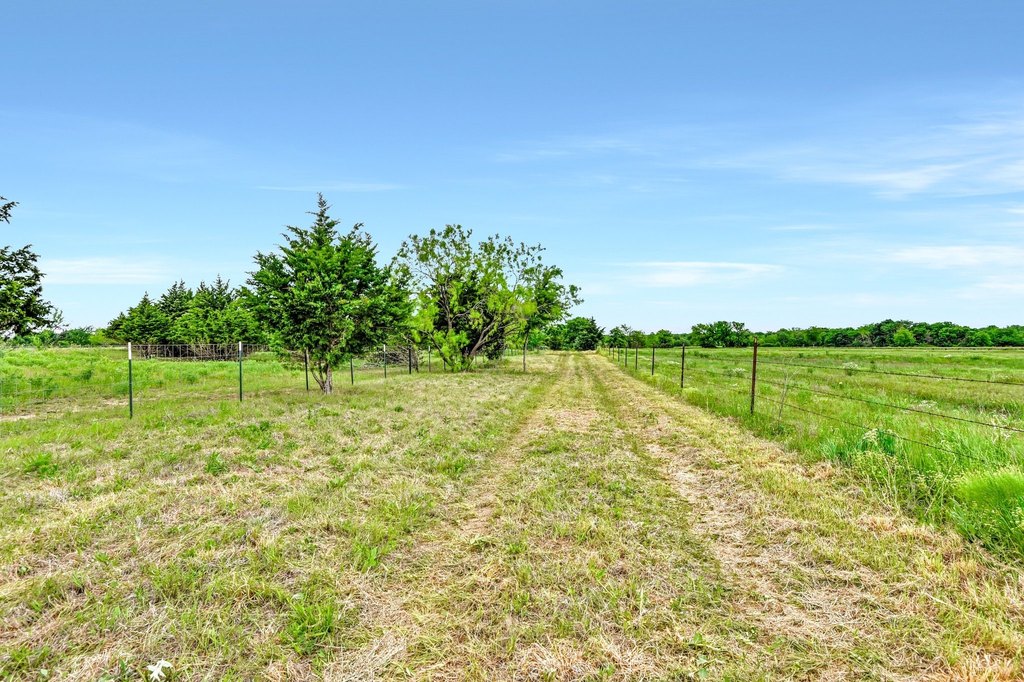 Picture 19