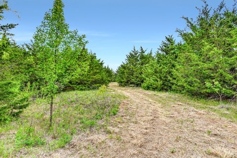 Secluded Hunting Tract Near Lake