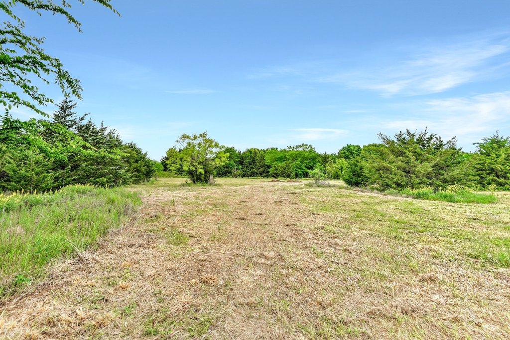 Picture 22