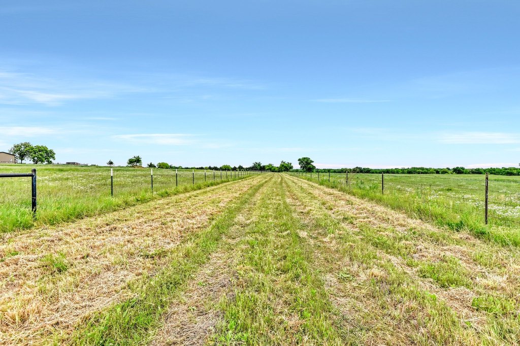 Picture 10