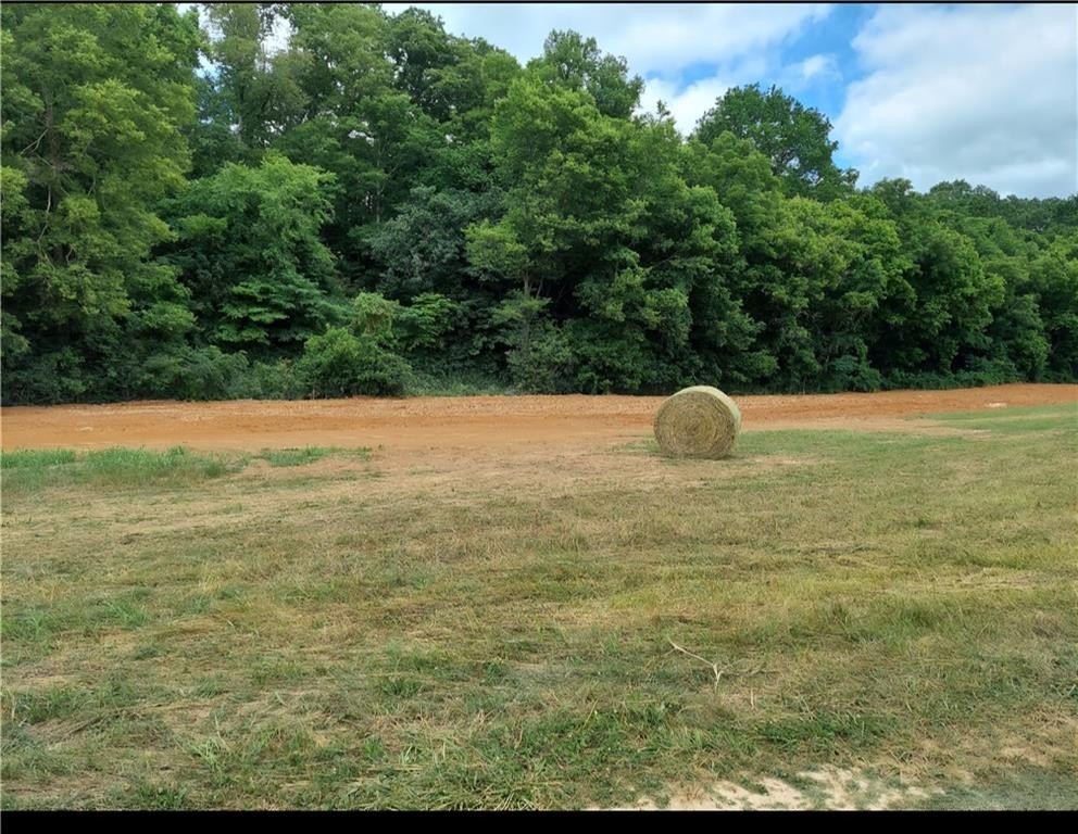 Picture 4