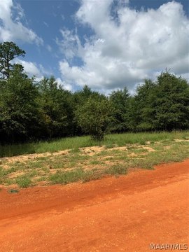 Land in Miller's Ferry Subdivision